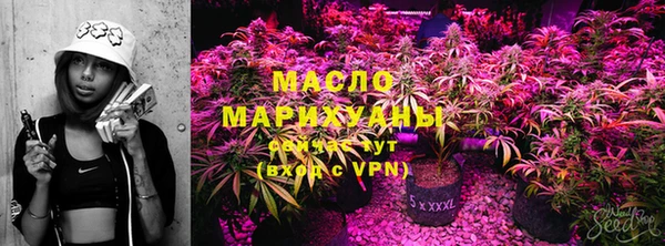 дмт Верея