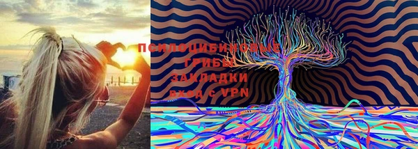 мефедрон Богородск