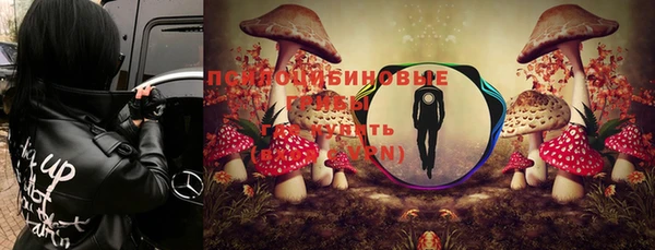гидропоника Верхний Тагил