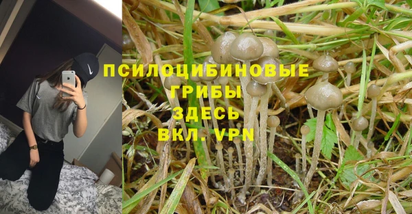 ешки Богородицк