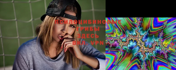 метамфетамин Богданович