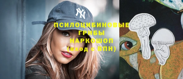 метамфетамин Богданович